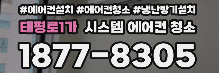 태평로1가 시스템 에어컨 청소