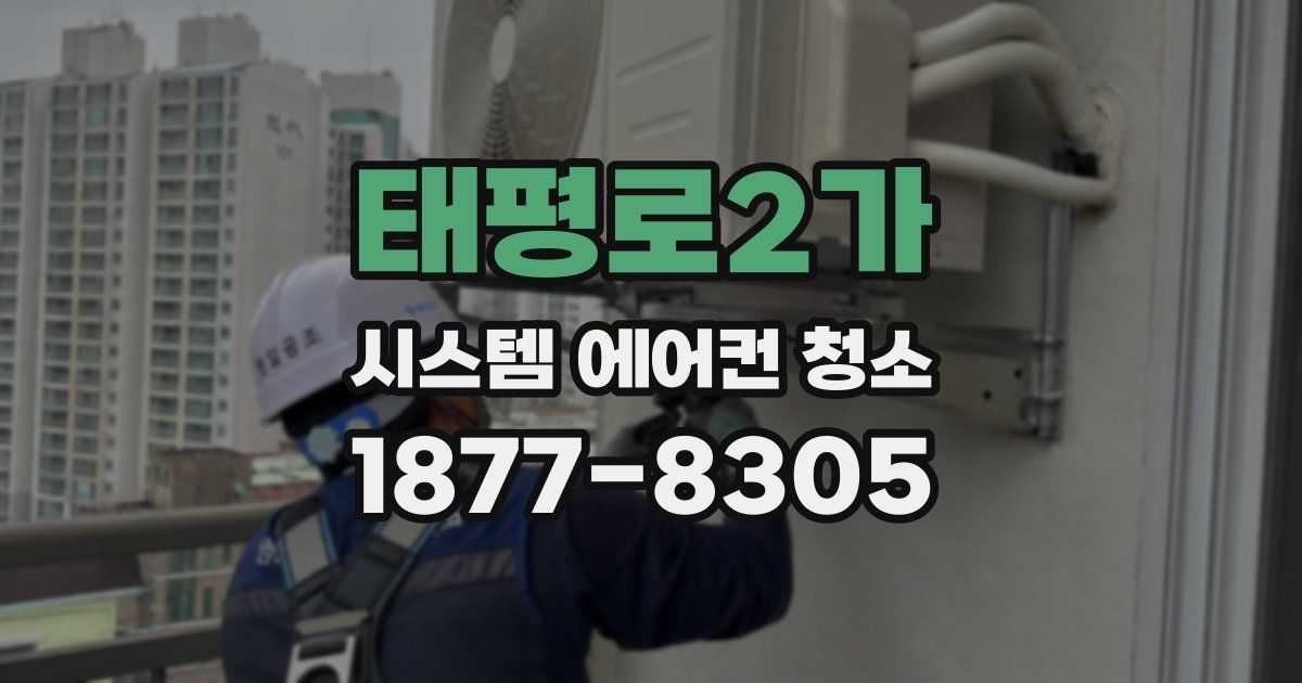 태평로2가 시스템 에어컨 청소