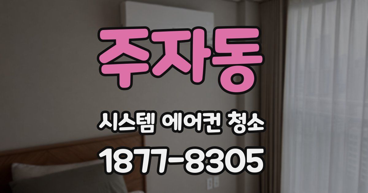 주자동 시스템 에어컨 청소