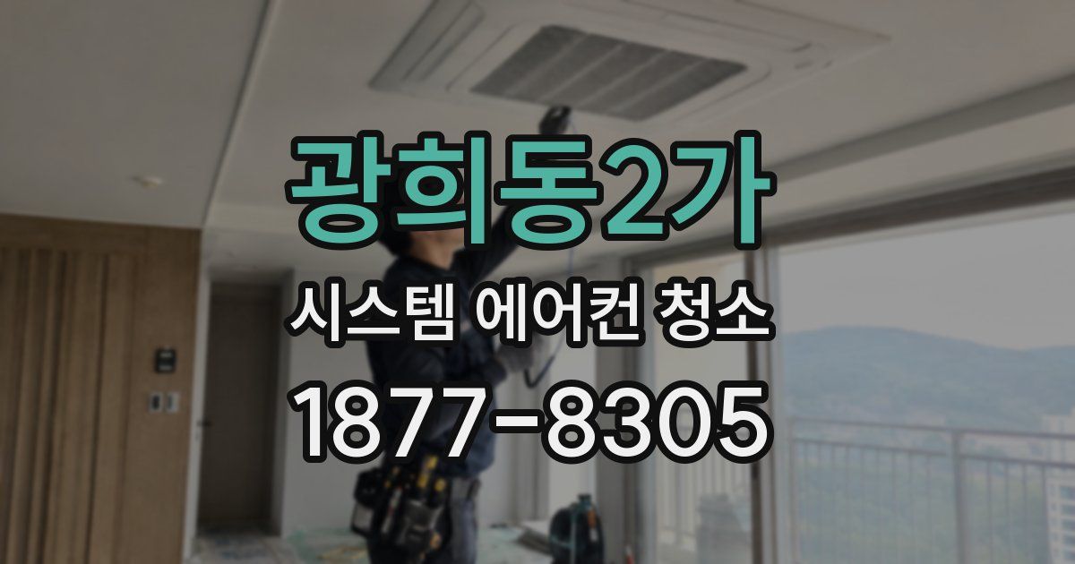광희동2가 시스템 에어컨 청소