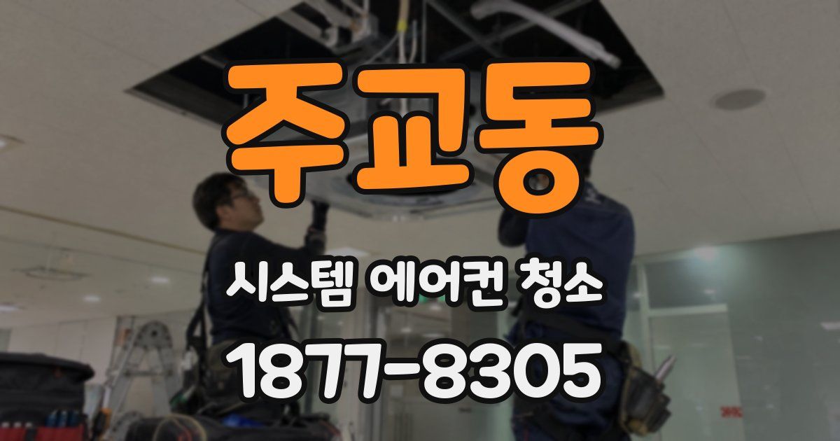 주교동 시스템 에어컨 청소