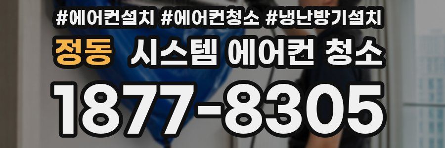 정동 시스템 에어컨 청소