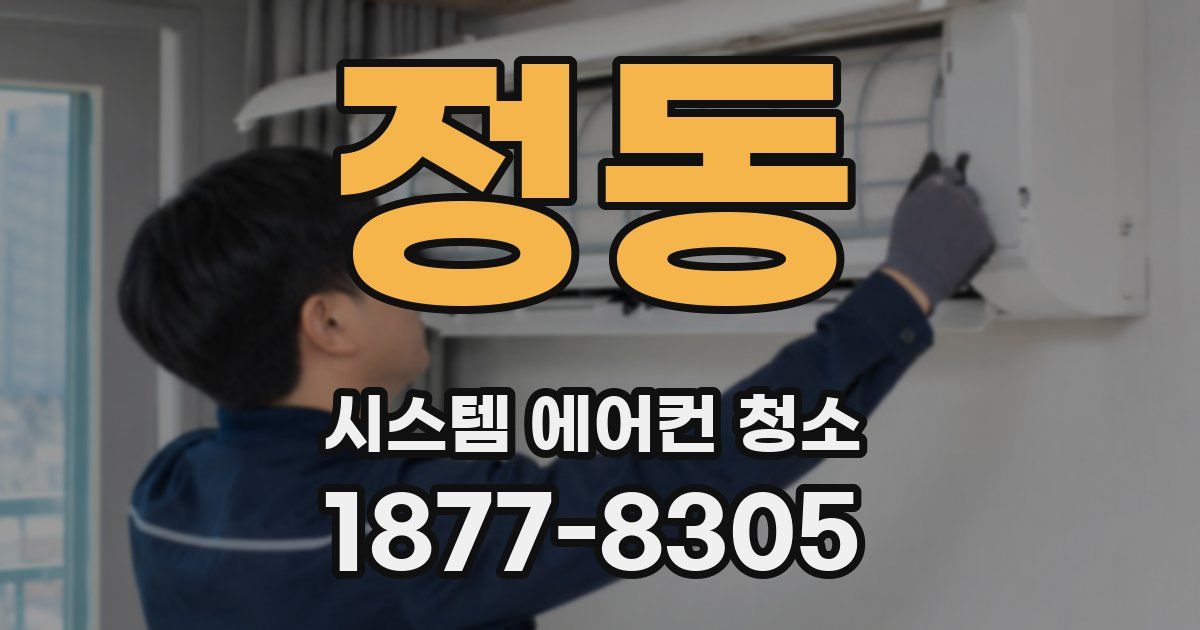 정동 시스템 에어컨 청소