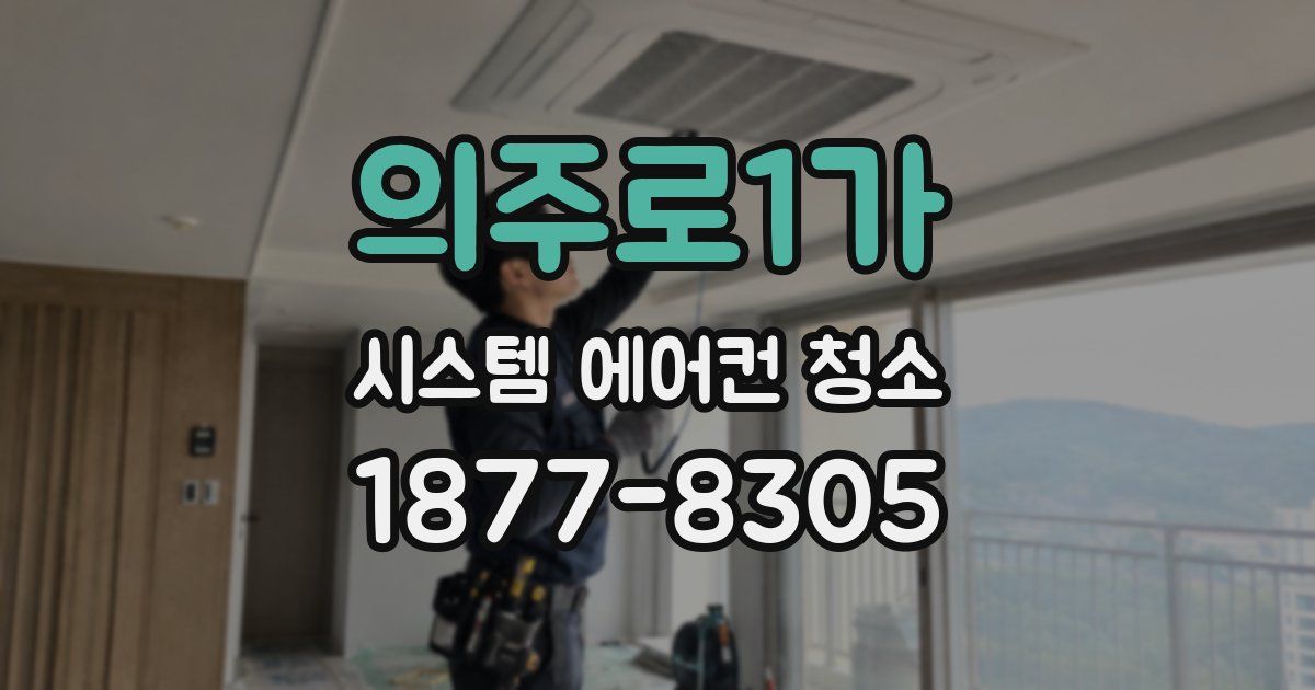 의주로1가 시스템 에어컨 청소