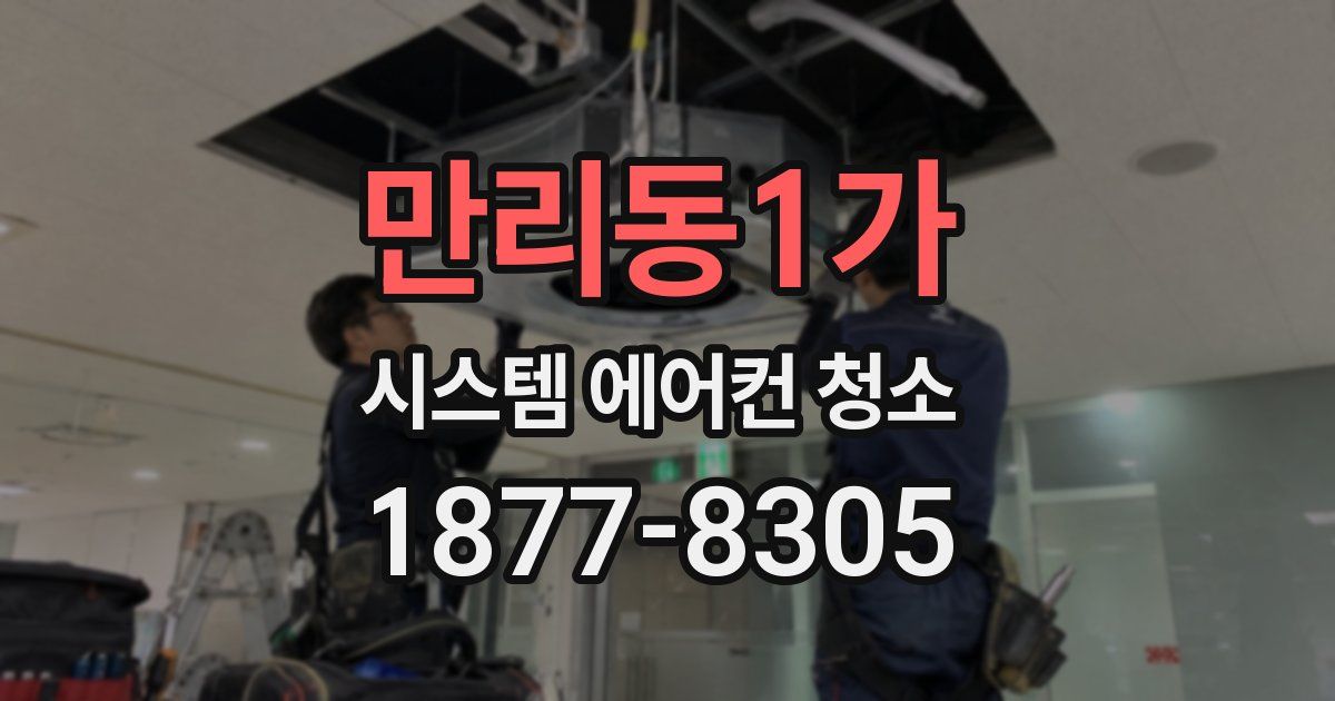만리동1가 시스템 에어컨 청소