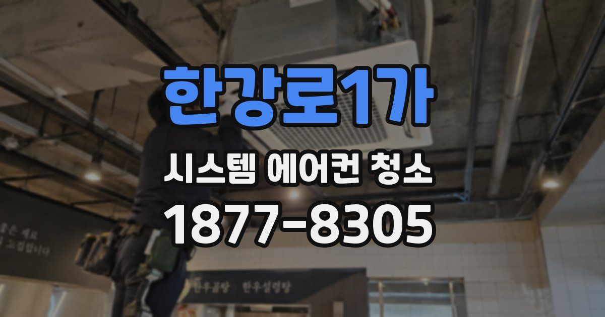 한강로1가 시스템 에어컨 청소