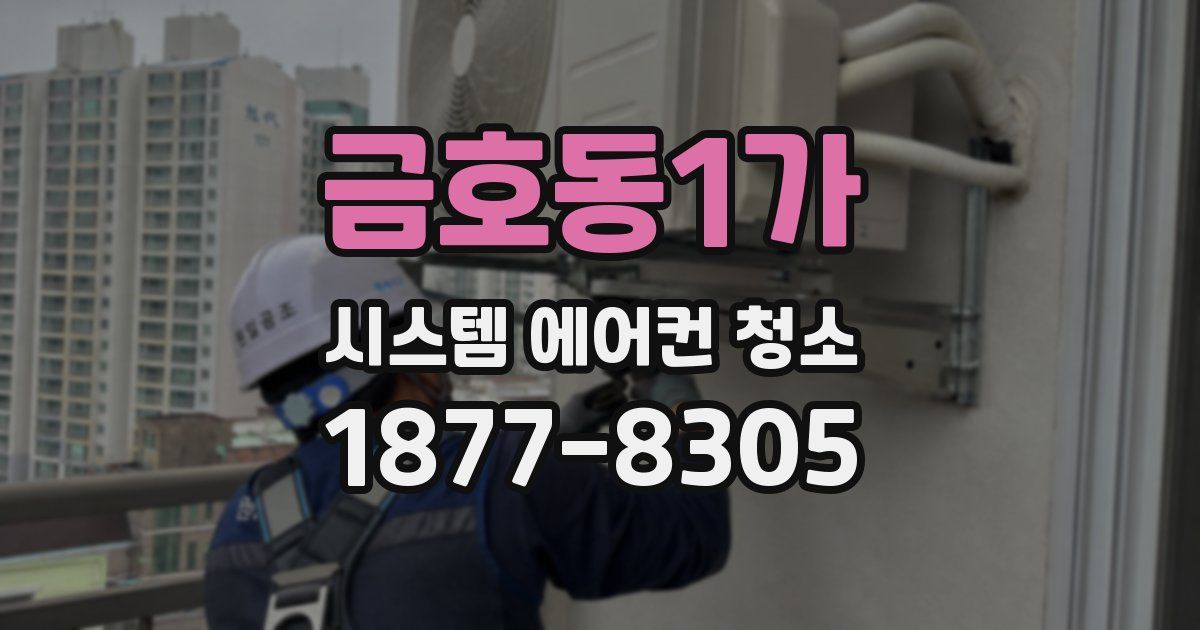 금호동1가 시스템 에어컨 청소