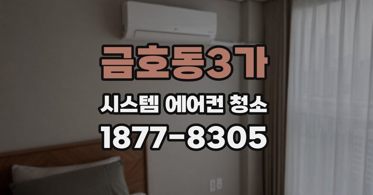 금호동3가 시스템 에어컨 청소