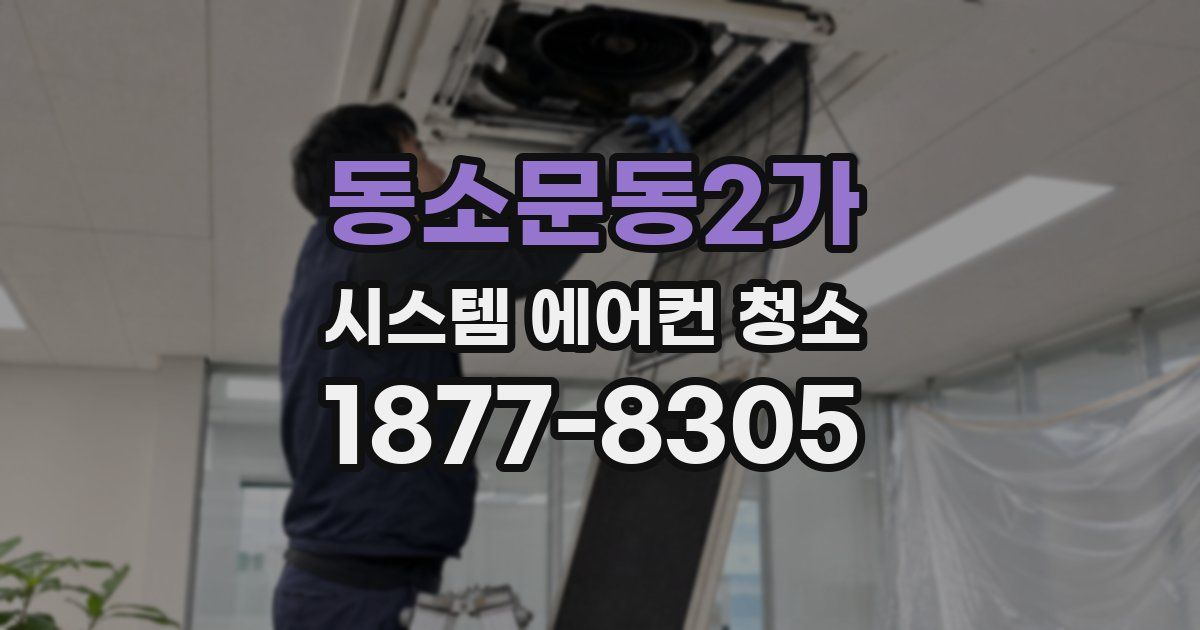 동소문동2가 시스템 에어컨 청소