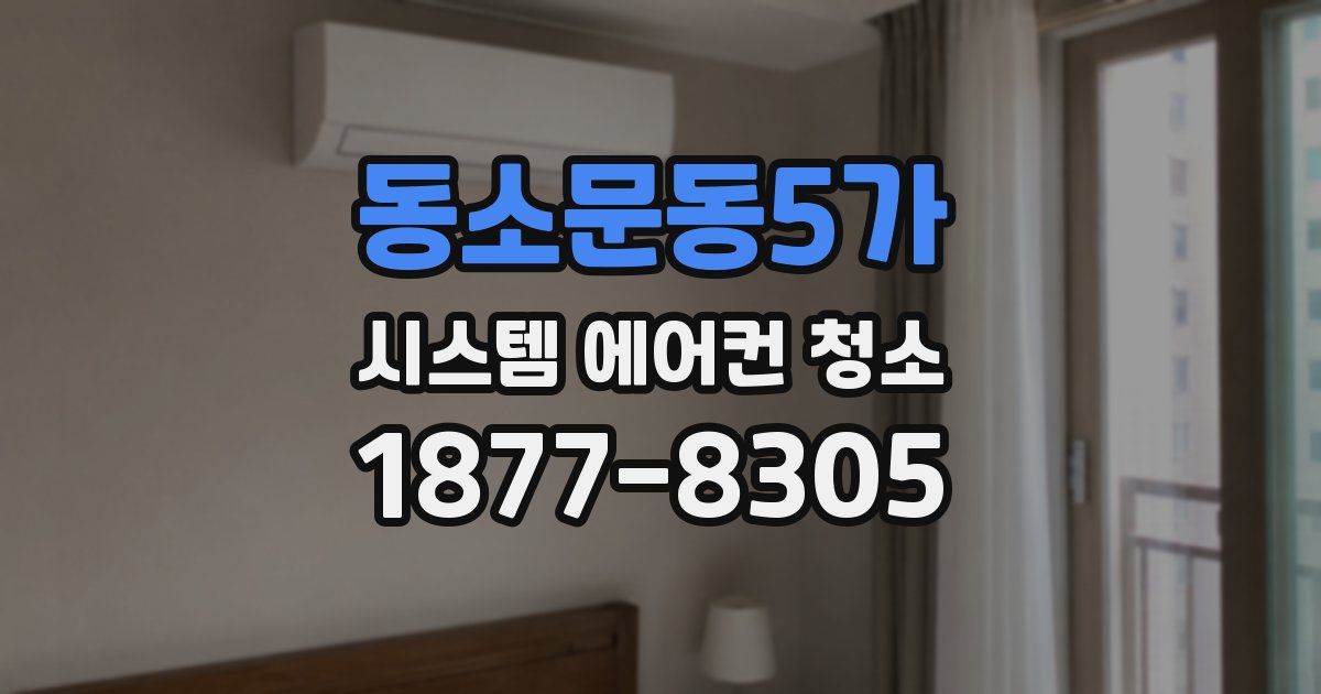 동소문동5가 시스템 에어컨 청소