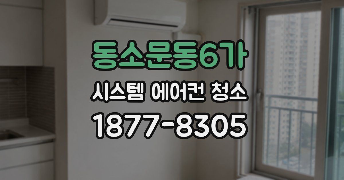동소문동6가 시스템 에어컨 청소