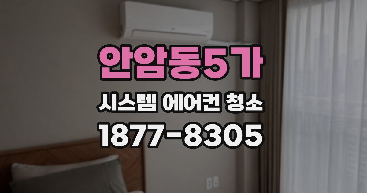 안암동5가 시스템 에어컨 청소