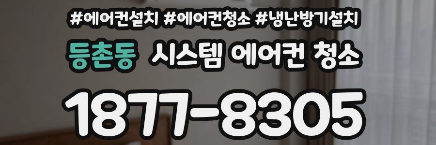 등촌동 시스템 에어컨 청소