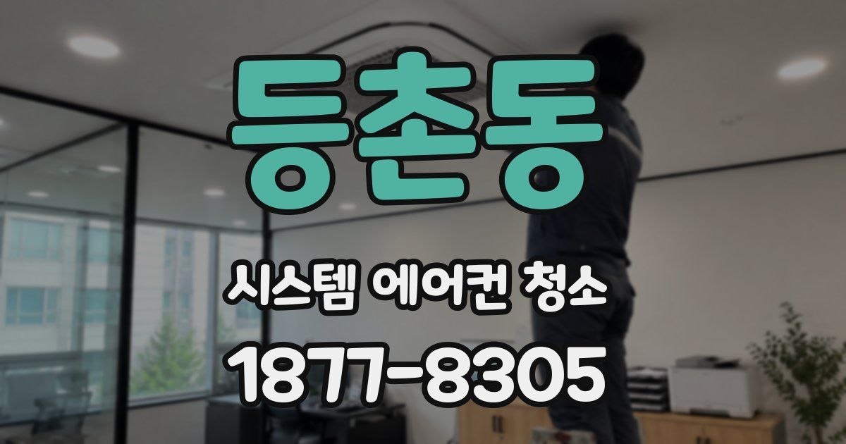 등촌동 시스템 에어컨 청소