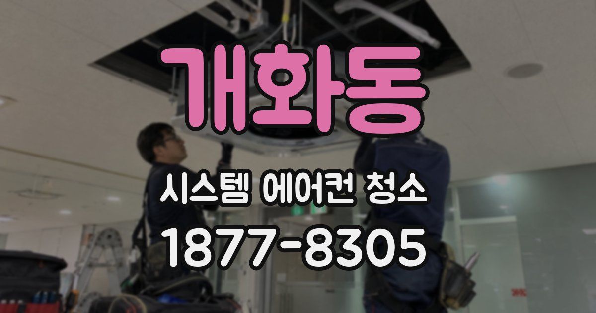 개화동 시스템 에어컨 청소