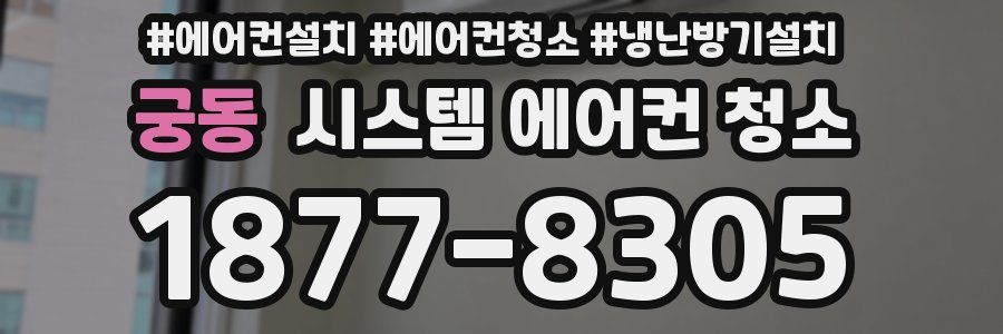 궁동 시스템 에어컨 청소