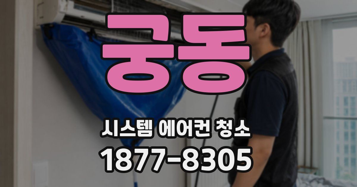 궁동 시스템 에어컨 청소