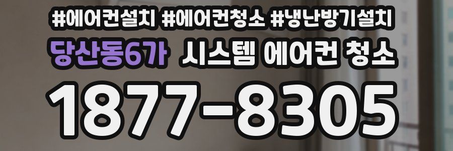 당산동6가 시스템 에어컨 청소