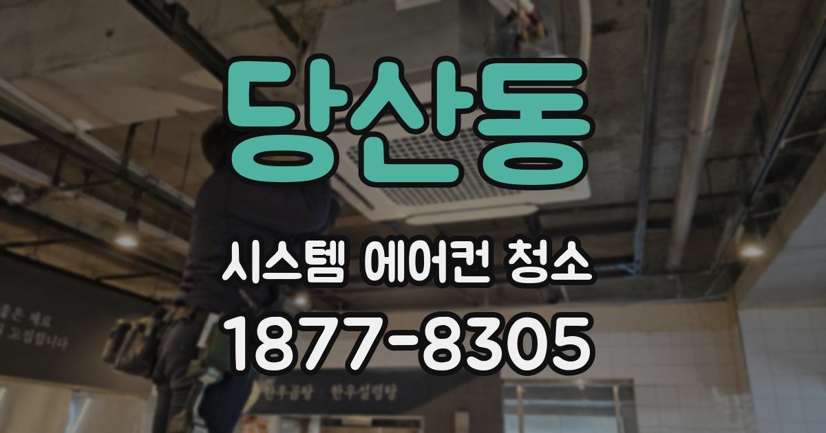 당산동 시스템 에어컨 청소