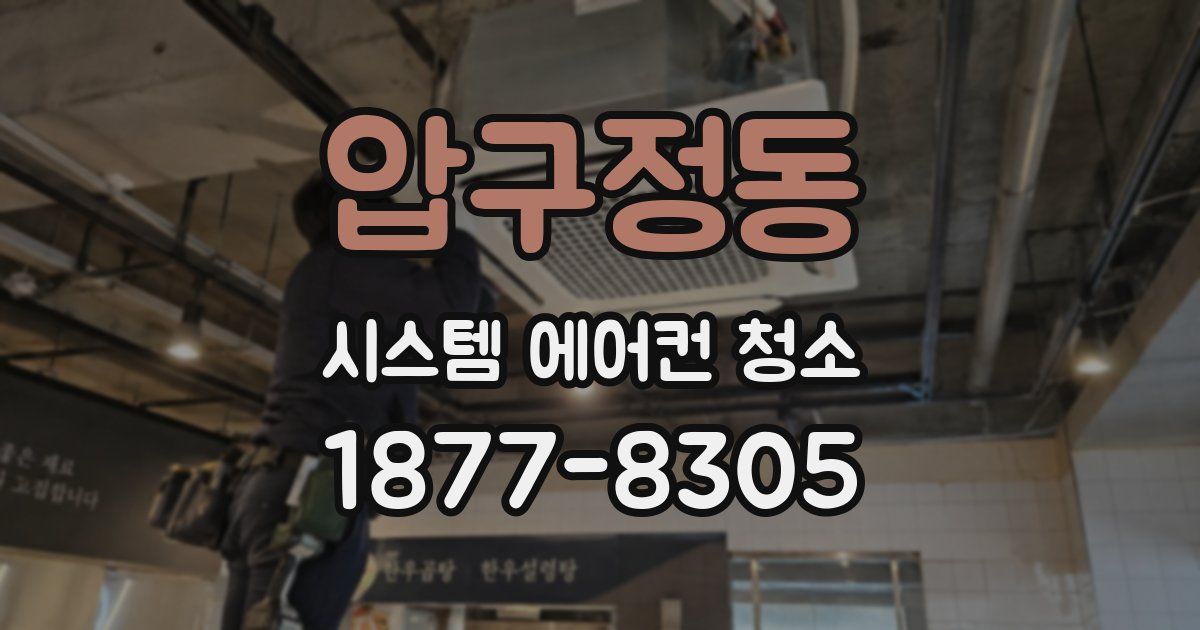 압구정동 시스템 에어컨 청소