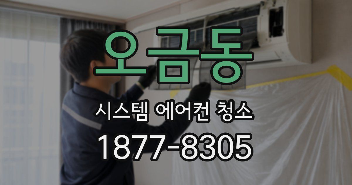 오금동 시스템 에어컨 청소