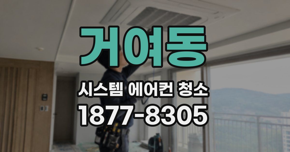 거여동 시스템 에어컨 청소