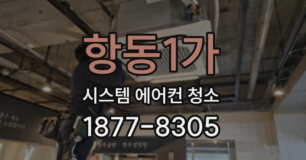 항동1가 시스템 에어컨 청소