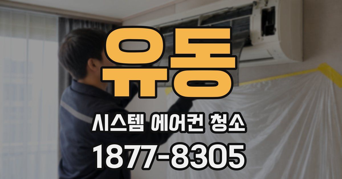 유동 시스템 에어컨 청소
