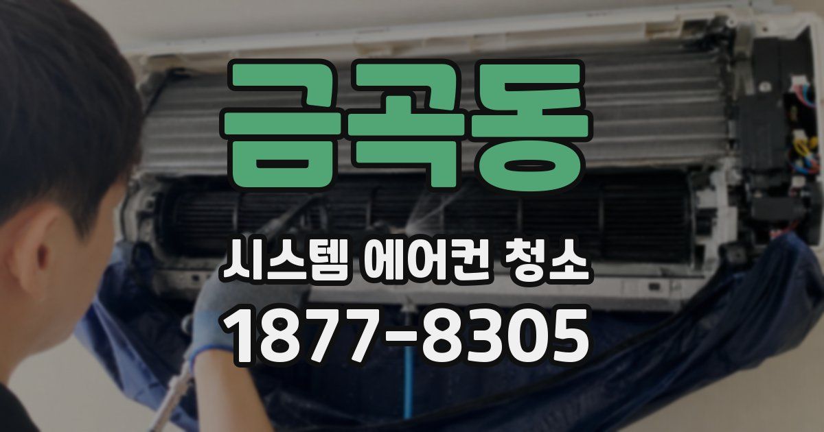 금곡동 시스템 에어컨 청소