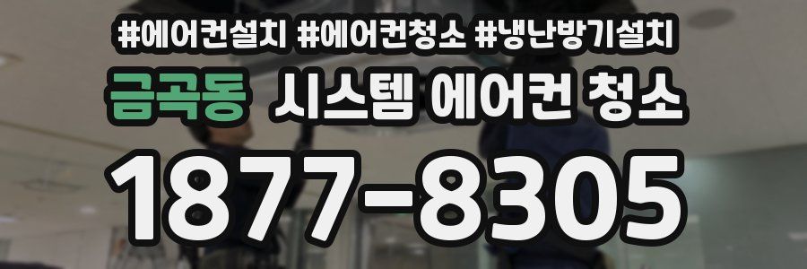 금곡동 시스템 에어컨 청소