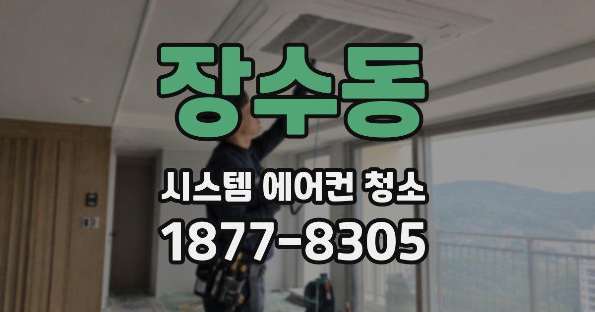 장수동 시스템 에어컨 청소