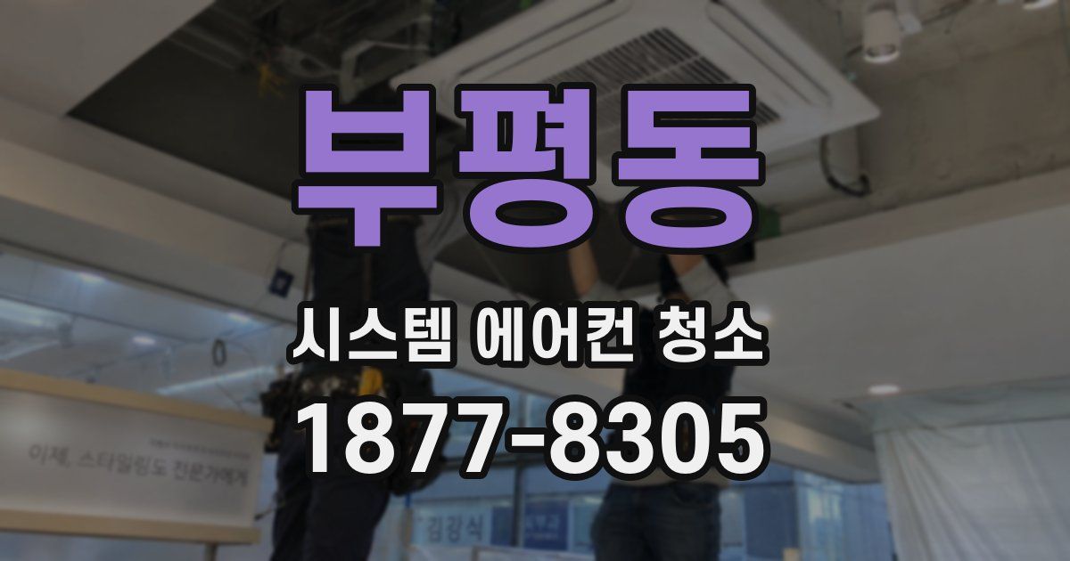 부평동 시스템 에어컨 청소