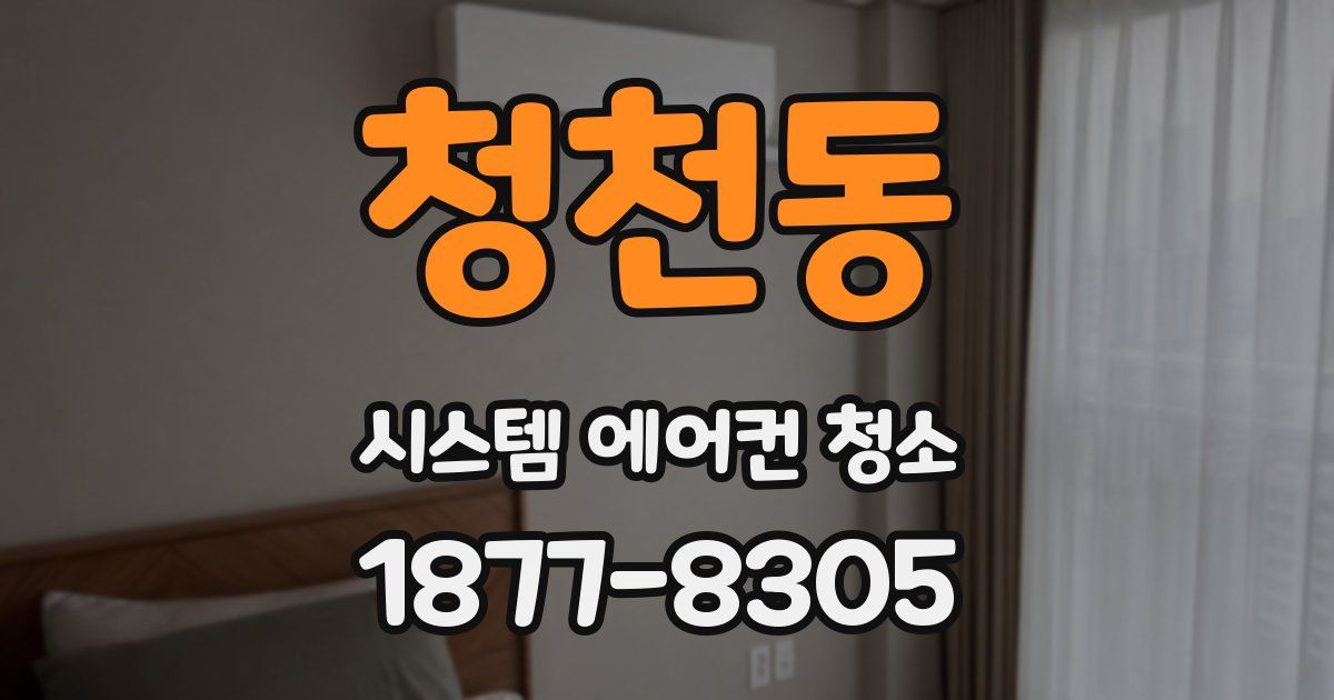 청천동 시스템 에어컨 청소