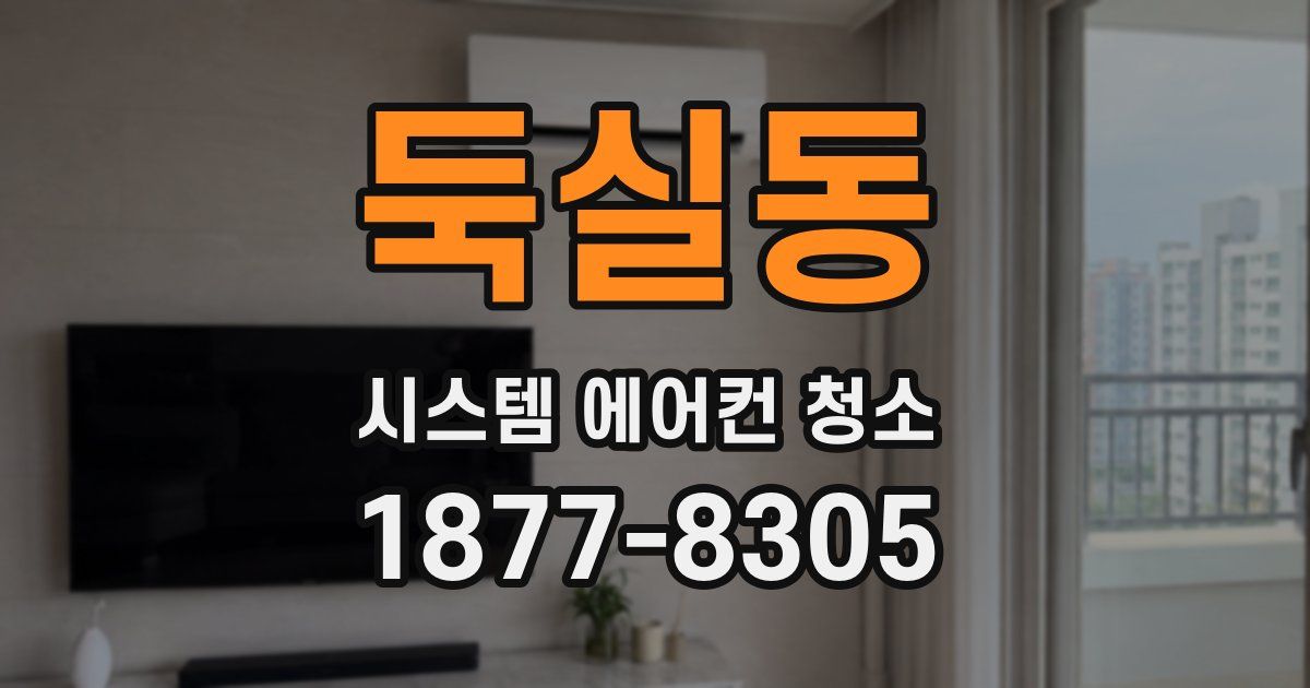 둑실동 시스템 에어컨 청소