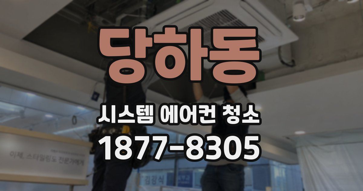 당하동 시스템 에어컨 청소