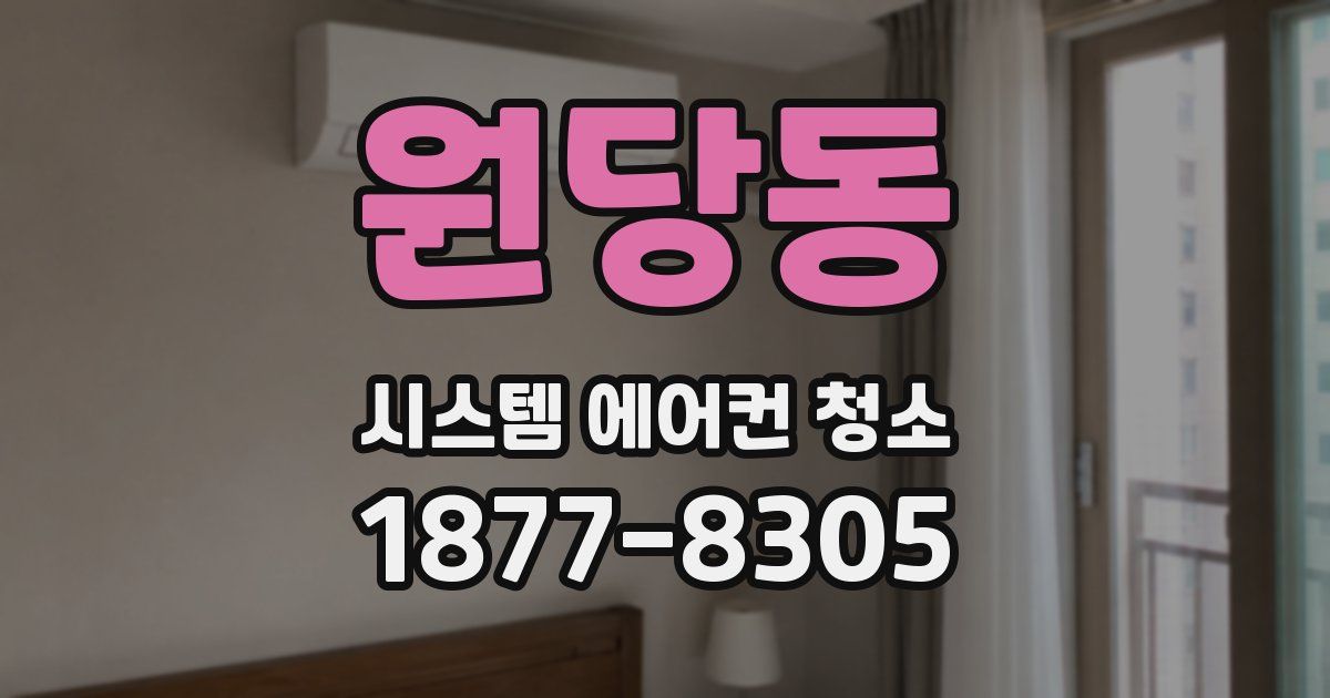 원당동 시스템 에어컨 청소