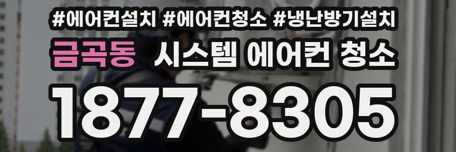 금곡동 시스템 에어컨 청소