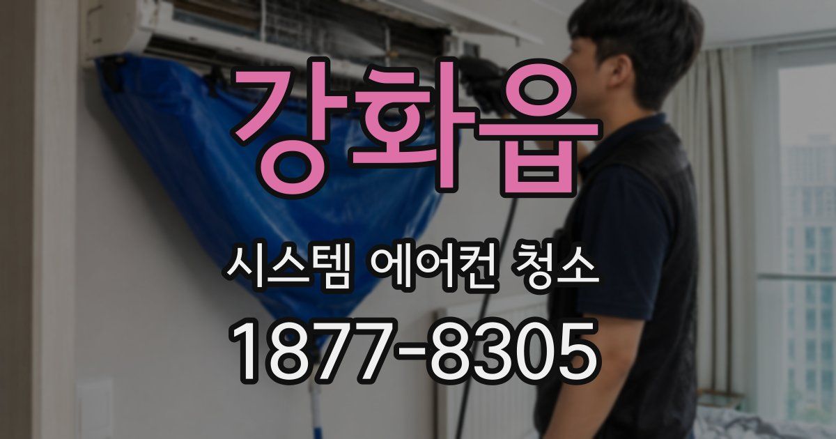 강화읍 시스템 에어컨 청소