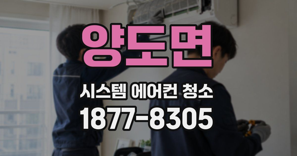 양도면 시스템 에어컨 청소