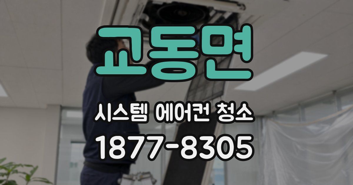 교동면 시스템 에어컨 청소
