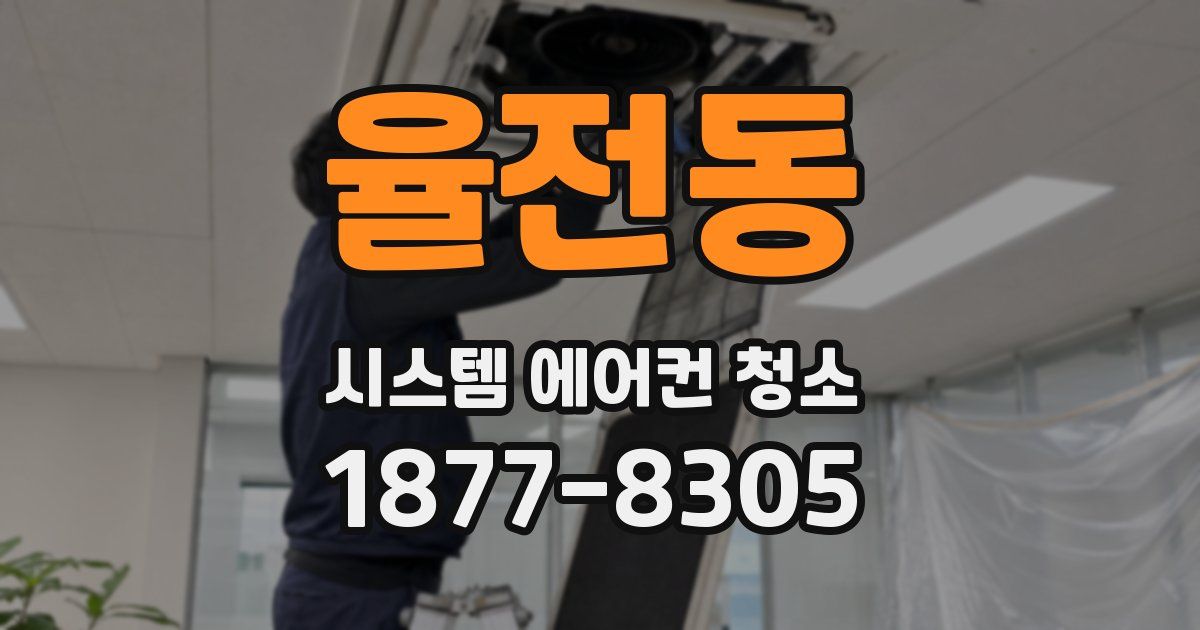 율전동 시스템 에어컨 청소