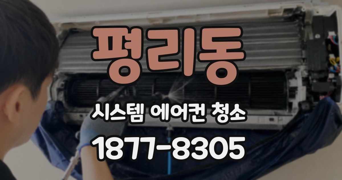 평리동 시스템 에어컨 청소