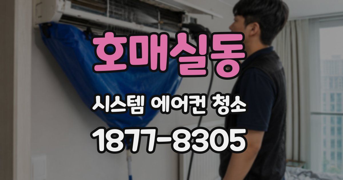 호매실동 시스템 에어컨 청소