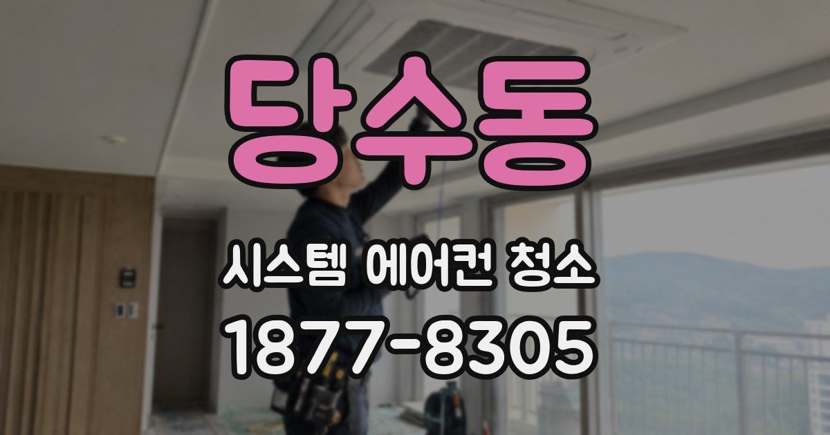 당수동 시스템 에어컨 청소