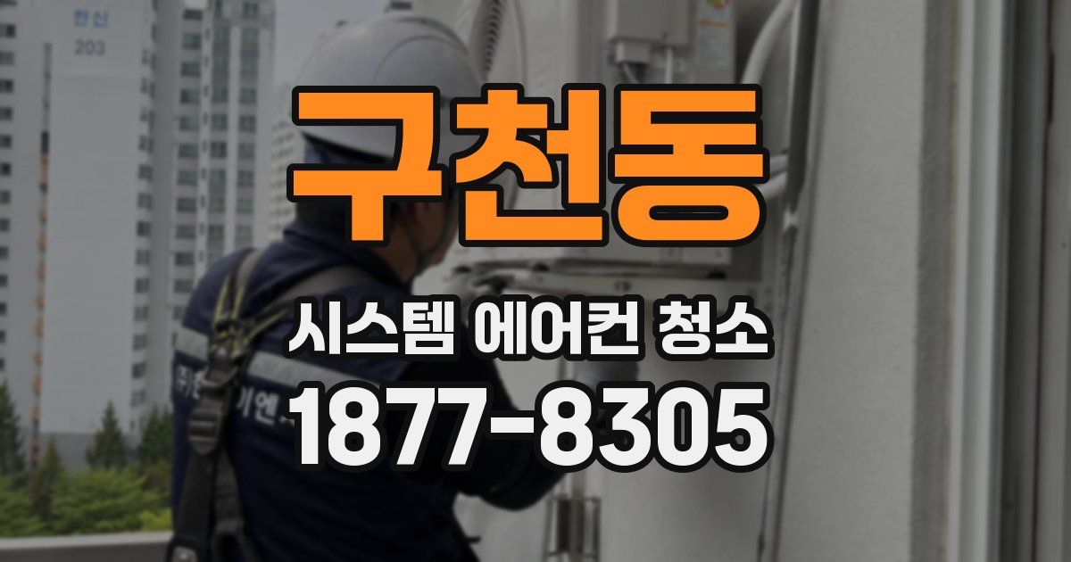구천동 시스템 에어컨 청소