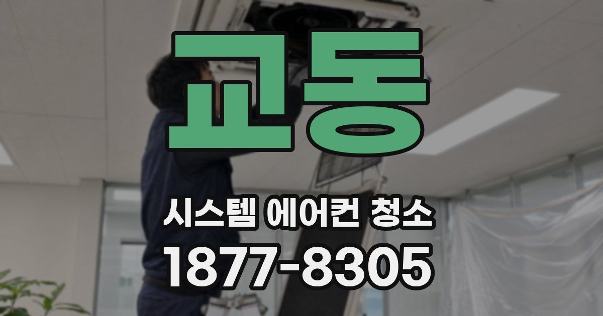 교동 시스템 에어컨 청소