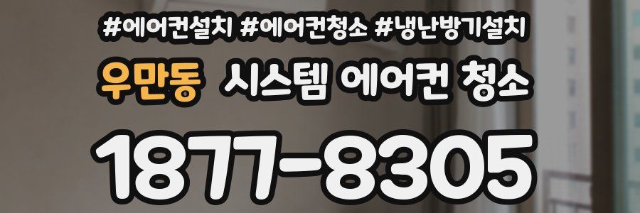 우만동 시스템 에어컨 청소
