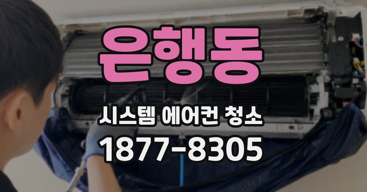 은행동 시스템 에어컨 청소