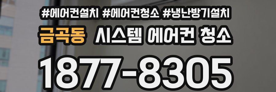 금곡동 시스템 에어컨 청소