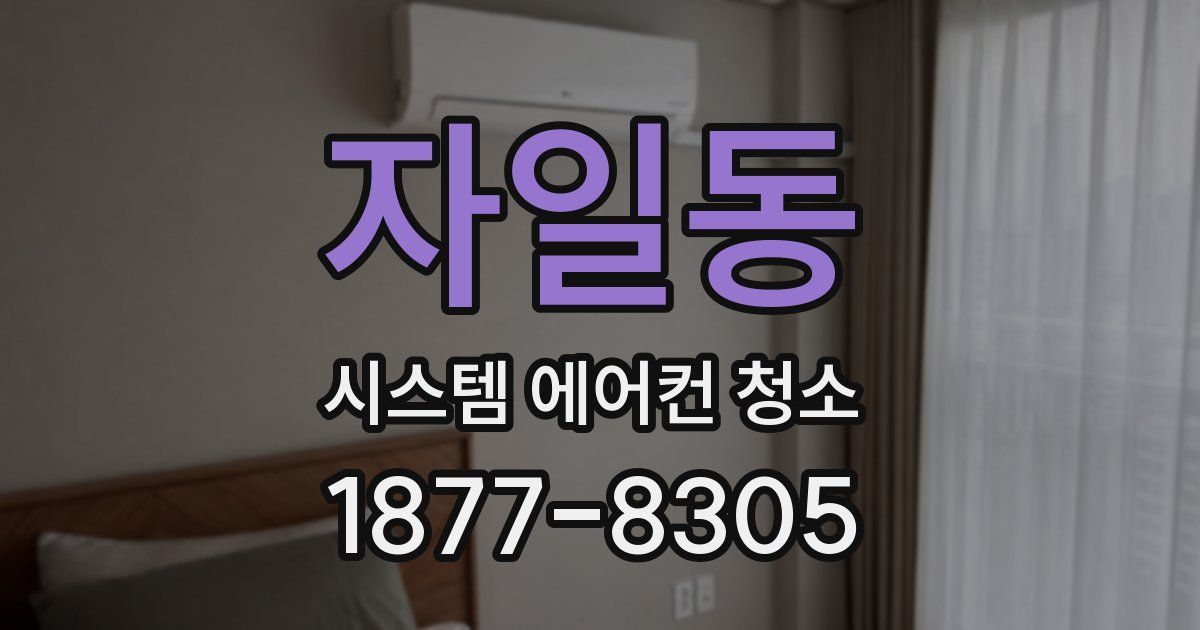 자일동 시스템 에어컨 청소